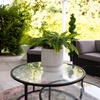 image:imageNearly Natural 48 in Artificial Boston Fern Set of 2 Outdoor Porch DecorGreen