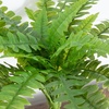 image:imageNearly Natural 48 in Artificial Boston Fern Set of 2 Outdoor Porch DecorGreen