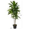 image:imageNearly Natural 48 in Artificial Dracaena RealTouch Plant with PotGreen