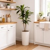 image:imageNearly Natural 48 in Artificial Dracaena RealTouch Plant with PotGreen