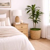 image:imageNearly Natural 48 in Artificial Dracaena RealTouch Plant with PotGreen