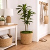 image:imageNearly Natural 48 in Artificial Dracaena RealTouch Plant with PotGreen