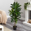 image:imageNearly Natural 48 in Artificial Dracaena RealTouch Plant with PotGreen