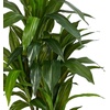 image:imageNearly Natural 48 in Artificial Dracaena RealTouch Plant with PotGreen