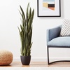 image:imageNearly Natural 48 in Artificial Sansevieria Snake Plant with Pot