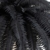 image:imageNearly Natural 48in Artificial Halloween Black Boston Fern Set of 2  Spooky Season Decor