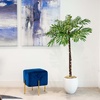 image:imageNearly Natural 4FT Artificial Palm Tree for Outdoors amp Indoors Prelit with 127 Warm LED Lights Fake Tall Palm Tree with Sturdy Base and UV Resistant