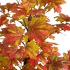 image:imageNearly Natural 4FT Deluxe Autumn Artificial Maple Tree Faux Fall Dcor for Home Decorations for Fall Autumn Thanksgiving and Halloween with Black Nursery Pot
