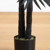 image:imageNearly Natural 4ft Artificial Halloween Black Golden Cane Tree  Spooky Indoor Decor for Halloween Display