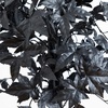 image:imageNearly Natural 4ft Artificial Halloween Black Maple Tree with Natural Trunk  Eerie Halloween Decor
