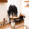 image:imageNearly Natural 4ft Artificial Halloween Black Willow Tree  Spooky Season Decor for Indoor Use