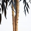 image:imageNearly Natural 4ft Artificial Halloween Black Willow Tree  Spooky Season Decor for Indoor Use