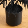 image:imageNearly Natural 4ft Artificial Halloween Real Touch Black Norfolk Pine Christmas Tree
