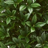 image:imageNearly Natural 4ft Bay Leaf Artificial Topiary Tree UV Resistant IndoorOutdoor