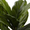 image:imageNearly Natural 4ft Fiddle Leaf Tree UV Resistant IndoorOutdoor