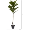 image:imageNearly Natural 4ft Fiddle Leaf Tree UV Resistant IndoorOutdoor