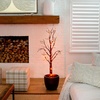 image:imageNearly Natural 4ft PreLit Halloween Black Twig Artificial Fall Tree with 240 Orange and Purple LED Lights