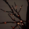 image:imageNearly Natural 4ft PreLit Halloween Black Twig Artificial Fall Tree with 240 Orange and Purple LED Lights