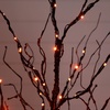 image:imageNearly Natural 4ft PreLit Halloween Black Twig Tree with 180 Orange amp Purple LED Lights
