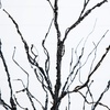 image:imageNearly Natural 4ft PreLit Halloween Black Twig Tree with 180 Orange amp Purple LED Lights