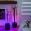 image:imageNearly Natural 4ft PreLit Halloween Black Willow Artificial Fall Tree with 120 Orange and Purple LED Lights