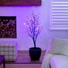 image:imageNearly Natural 4ft PreLit Halloween Deluxe Black Twig Artificial Fall Tree with 81 Orange and Purple LED Lights