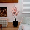 image:imageNearly Natural 4ft PreLit Halloween Deluxe Black Twig Artificial Fall Tree with 81 Orange and Purple LED Lights