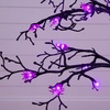 image:imageNearly Natural 4ft PreLit Halloween Spider Twig Tree with 48 Purple LED Lights
