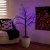image:imageNearly Natural 4ft PreLit Halloween Spider Twig Tree with 48 Purple LED Lights