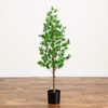 image:imageNearly Natural 4ft UV Artificial Podocarpus Tree IndoorOutdoor Greenery  Premium Materials Low Maintenance Modern Style