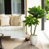 image:imageNearly Natural 4ft UV Resistant Artificial Bird Nest Fern Tree IndoorOutdoor