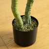image:imageNearly Natural 4ft UV Resistant Artificial Bird Nest Fern Tree IndoorOutdoor