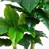 image:imageNearly Natural 4ft UV Resistant Artificial Bird Nest Fern Tree IndoorOutdoor
