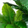 image:imageNearly Natural 4ft UV Resistant Artificial Bird Nest Fern Tree IndoorOutdoor
