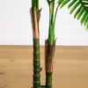 image:imageNearly Natural 4ft UV Resistant Artificial Double Robellini Palm Tree  IndoorOutdoor