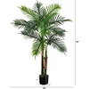 image:imageNearly Natural 4ft UV Resistant Artificial Double Robellini Palm Tree  IndoorOutdoor