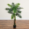 image:imageNearly Natural 4ft UV Resistant Artificial Double Robellini Palm Tree  IndoorOutdoor