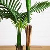 image:imageNearly Natural 4ft UV Resistant Artificial Double Robellini Palm Tree  IndoorOutdoor