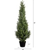 image:imageNearly Natural 4ft UVResistant Artificial Boxwood Topiary Tree  Lifelike Greenery for Indoor and Outdoor Decor Includes Nursery Planter