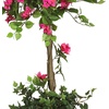 image:imageNearly Natural 5 ft Artificial Bougainvillea Topiary Tree Indoor Room Decor