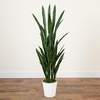 image:imageNearly Natural 5 ft Artificial Sansevieria Plant UVResistant Porch Decor