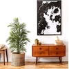 image:imageNearly Natural 5388 Areca Palm UV Resistant Tree 35Feet Green505 x 7 x 7