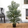 image:imageNearly Natural 5388 Areca Palm UV Resistant Tree 35Feet Green505 x 7 x 7