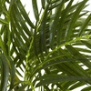 image:imageNearly Natural 5388 Areca Palm UV Resistant Tree 35Feet Green505 x 7 x 7
