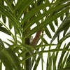image:imageNearly Natural 5388 Areca Palm UV Resistant Tree 35Feet Green505 x 7 x 7