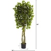 image:imageNearly Natural 55ft Ficus Tree UV Resistant IndoorOutdoor