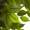 image:imageNearly Natural 55ft Ficus Tree UV Resistant IndoorOutdoor