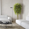image:imageNearly Natural 55ft Ficus Tree UV Resistant IndoorOutdoor