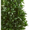 image:imageNearly Natural 56in Bay Leaf Cone Topiary Artificial Tree UV Resistant in Black Planter IndoorOutdoor