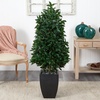 image:imageNearly Natural 56in Bay Leaf Cone Topiary Artificial Tree UV Resistant in Black Planter IndoorOutdoor